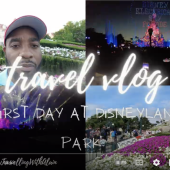 Quick Tour of Hotel Disney & Electrical Sky Parade